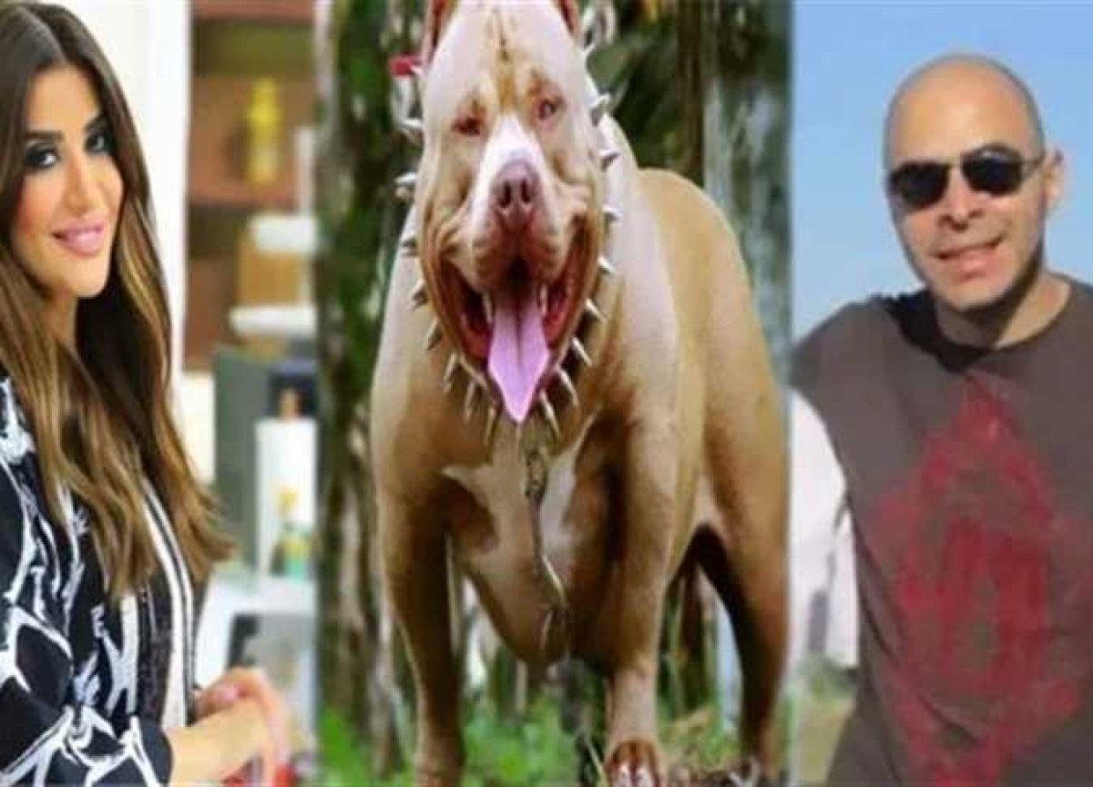 وفاة مدير البنك ضحية كلب المذيعة أميرة شنب  
