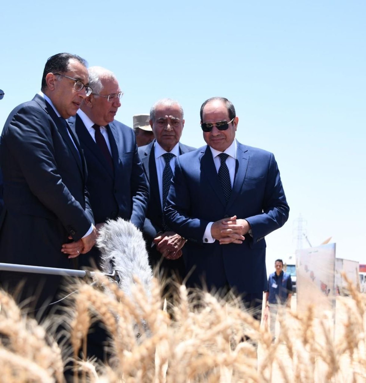 بالصور والفيديو.. الرئيس السيسي يشهد افتتاح موسم حصاد القمح من شرق العوينات