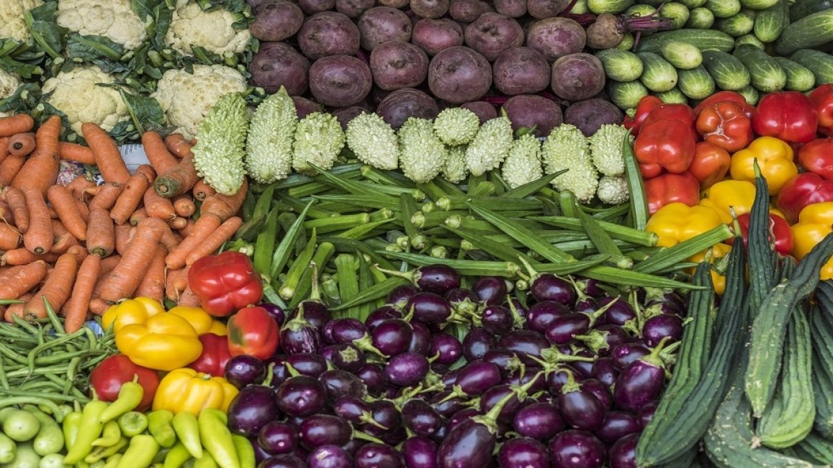 أسعار الخضروات في سوق العبور اليوم الخميس 3 أغسطس 2023