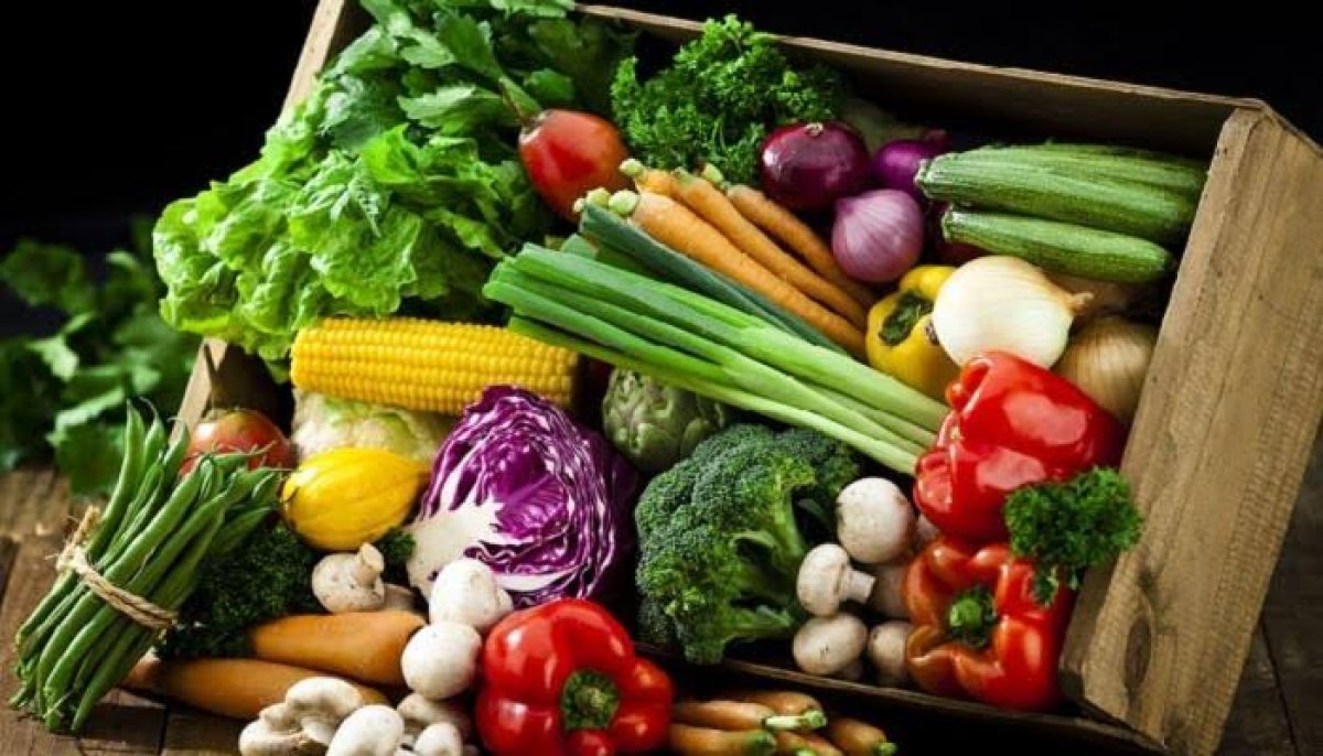 أسعار الخضروات اليوم الجمعة 25 أغسطس 2023