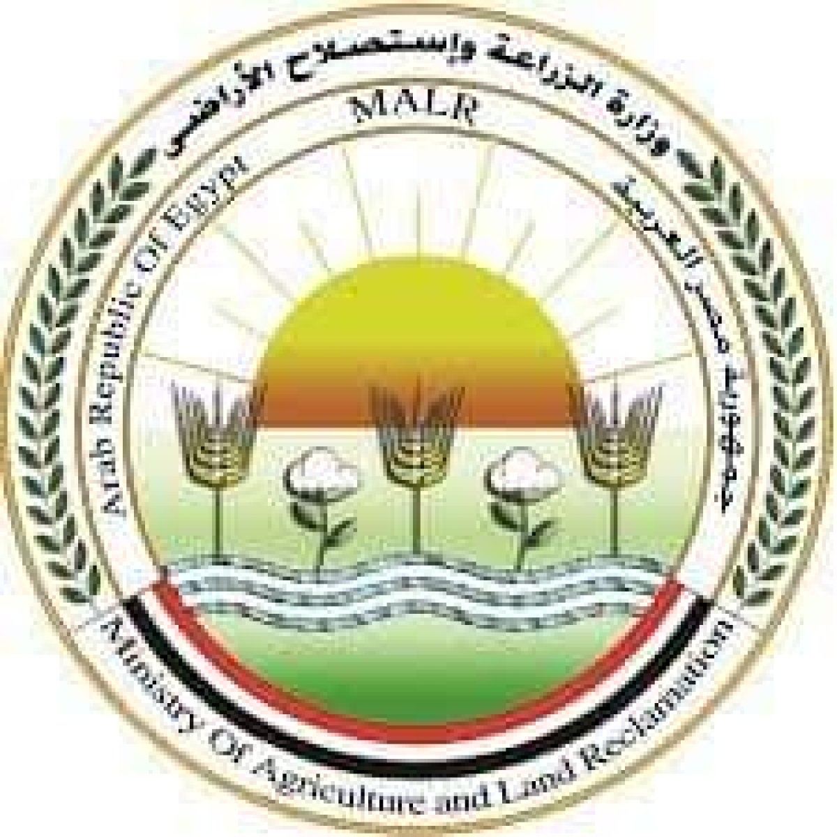 الزراعة: ارتفاع صادرات مصر الزراعية الى أكثر من 4.3 مليون طن والبصل في المركز الثالث 