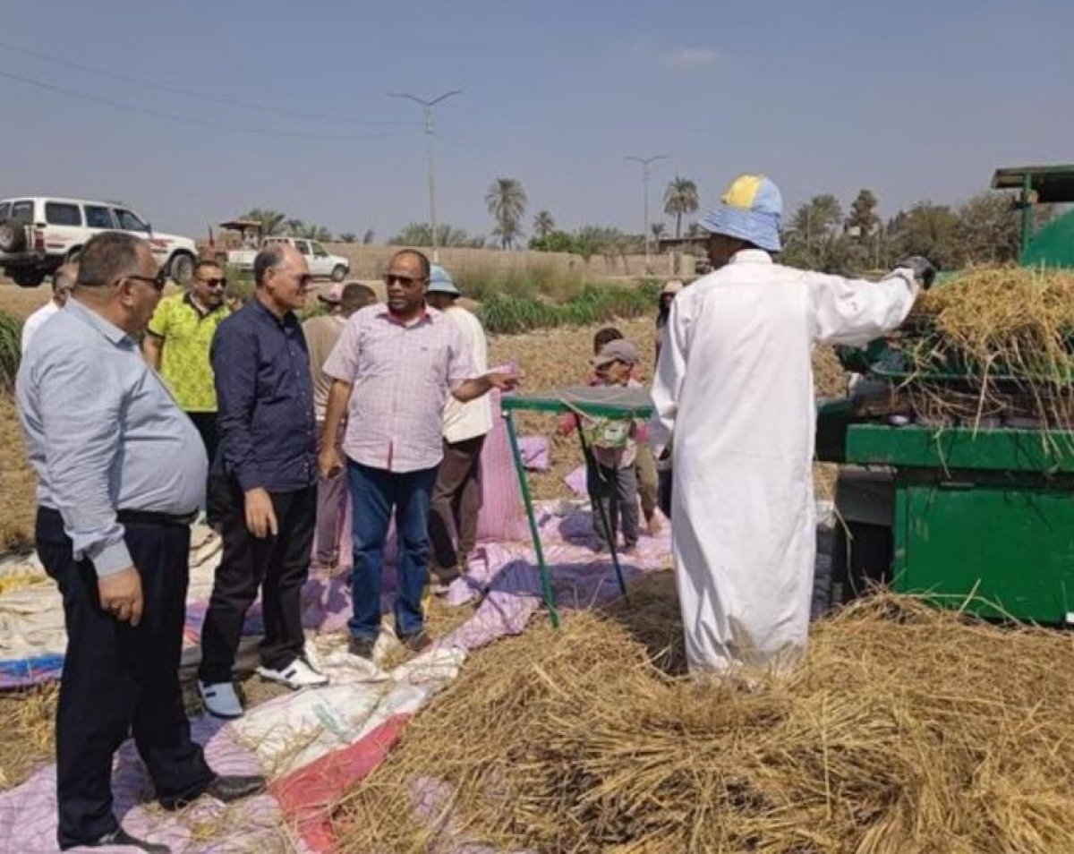 بدء تنفيذ الدورة الزراعية لـ محصول القمح