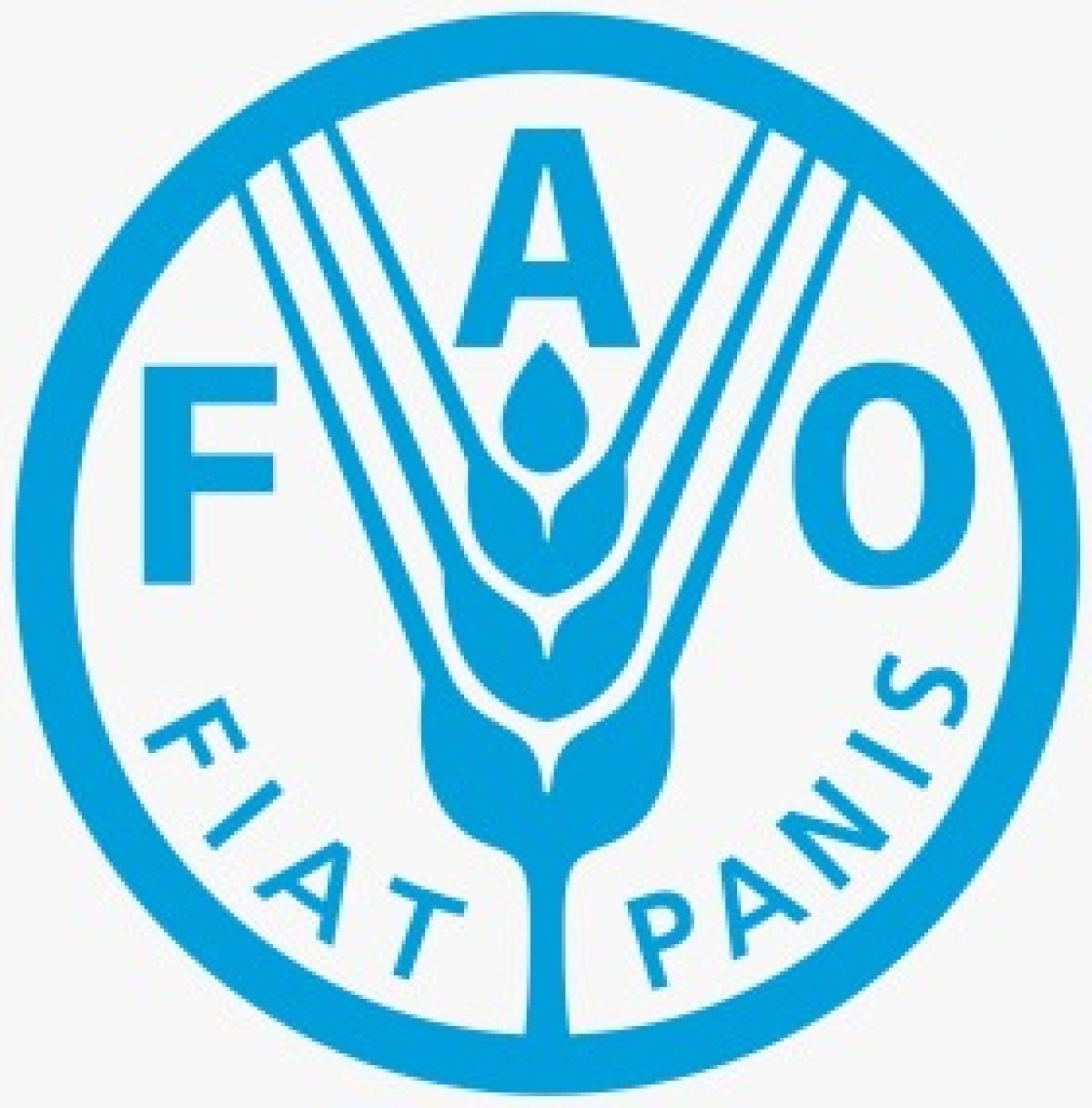 «الفاو» تدعم تعزيز الزراعة الذكية مناخيا في 3 محافظات مصرية