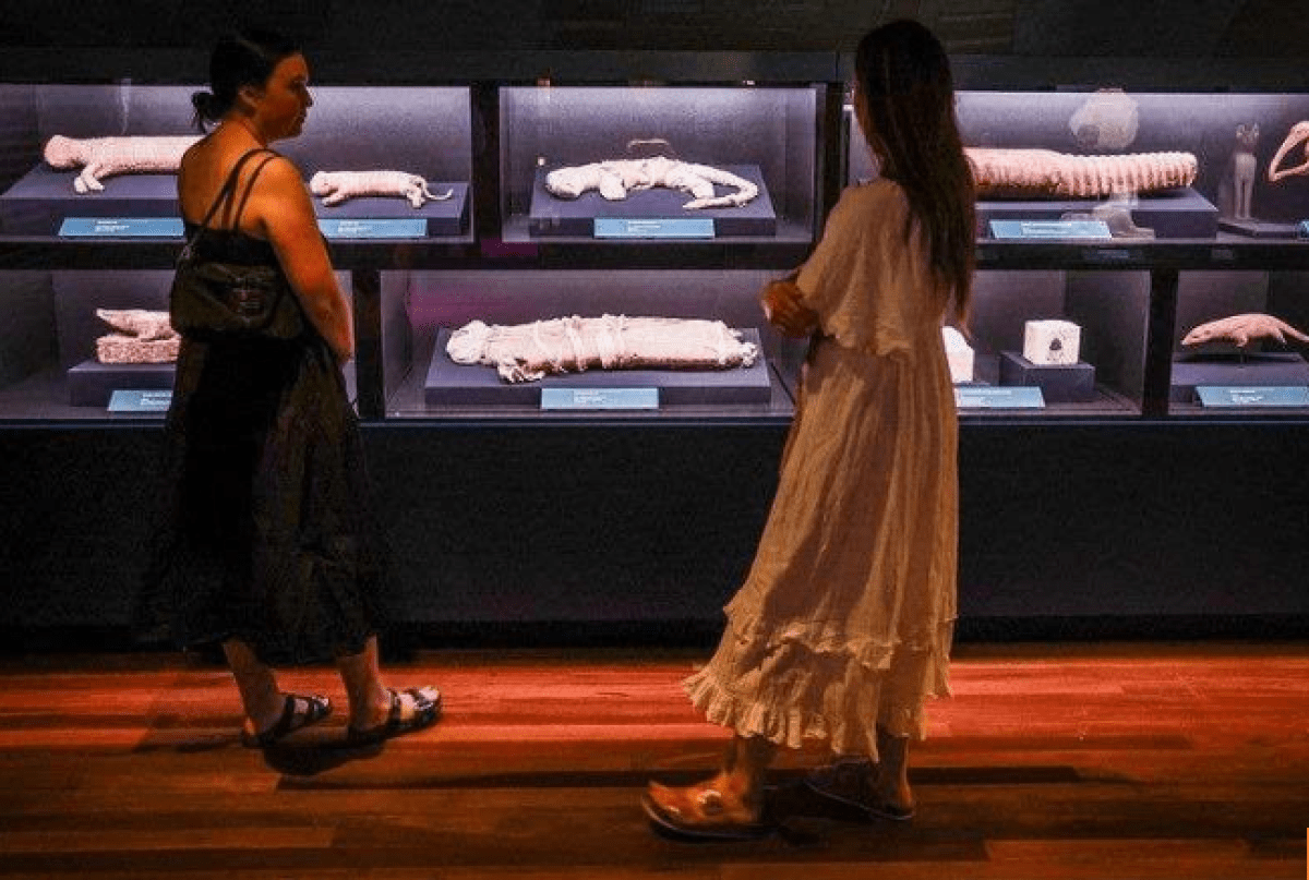 رسميًا.. انطلاق فعاليات معرض رمسيس وذهب الفراعنة  بمتحف استراليا بمدينة سيدني