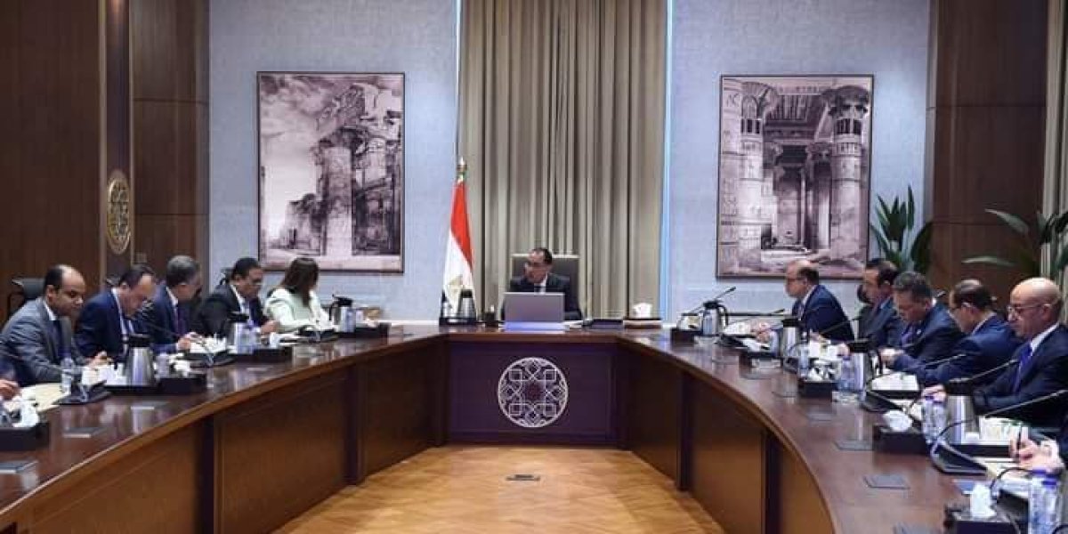مؤسسو شركة المصريين بالخارج يحشدون الجاليات المصرية لانتخاب الرئيس عبد الفتاح السيسي