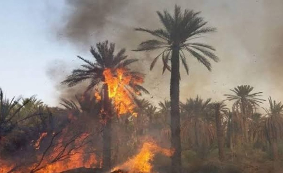 اندلاع حريق داخل منطقة زراعية بالهرم 