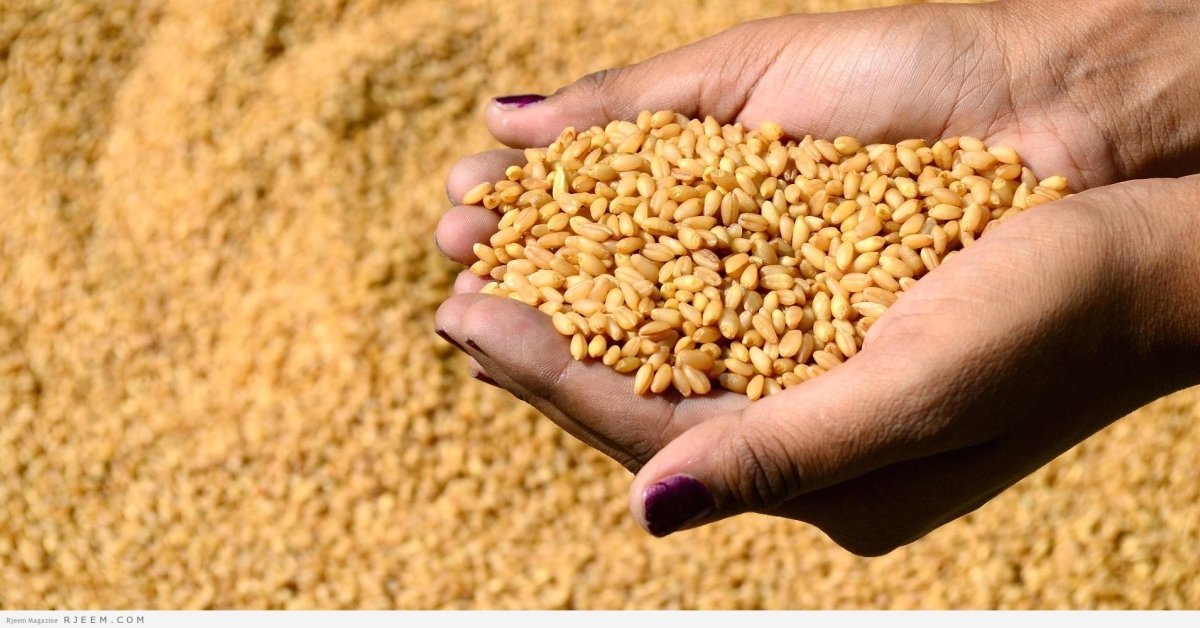 السلع التموينية تتعاقد على شراء 110 آلاف طن من القمح المستورد