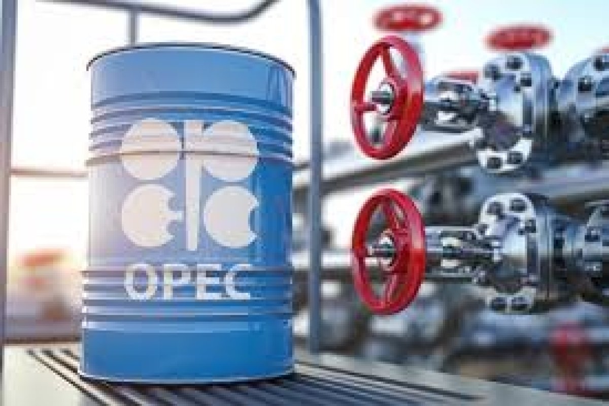 «أوبك» تتمسك بتوقعاتها لنمو قوي في الطلب على النفط خلال 2024