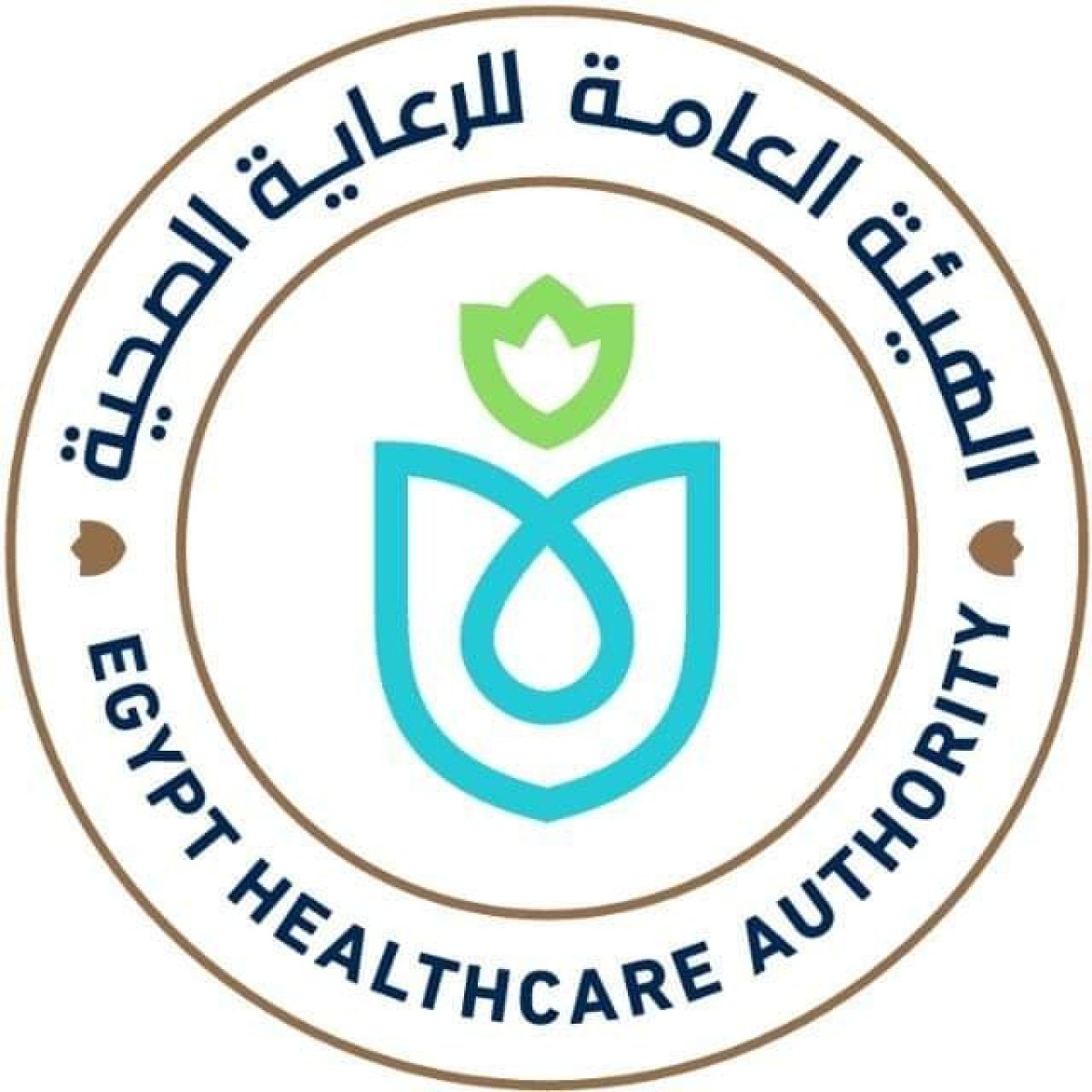 «الرعاية الصحية» تعلن خارطة طريق عملها لعام  2024 في محور الصيدلة وإدارة الدواء