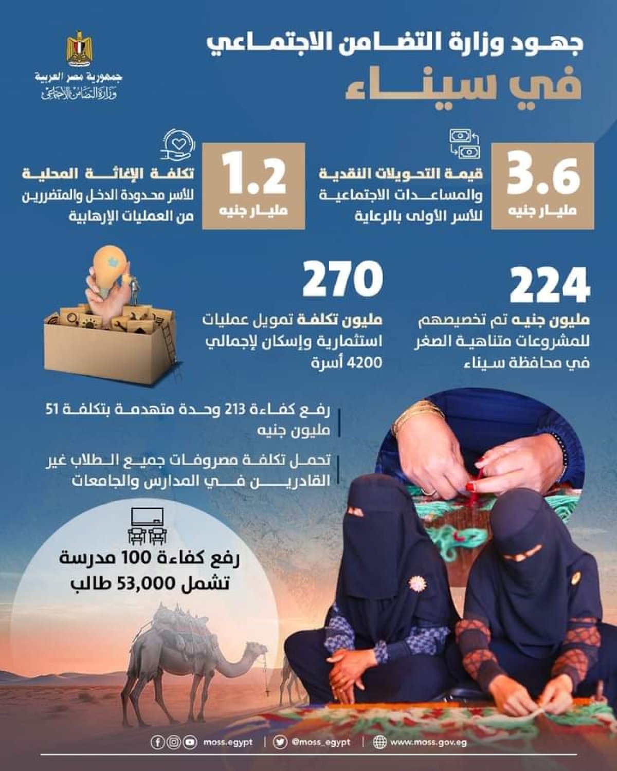 بالأرقام .. التضامن الاجتماعي تستعرض أبرز جهودها في سيناء.. انفوجراف