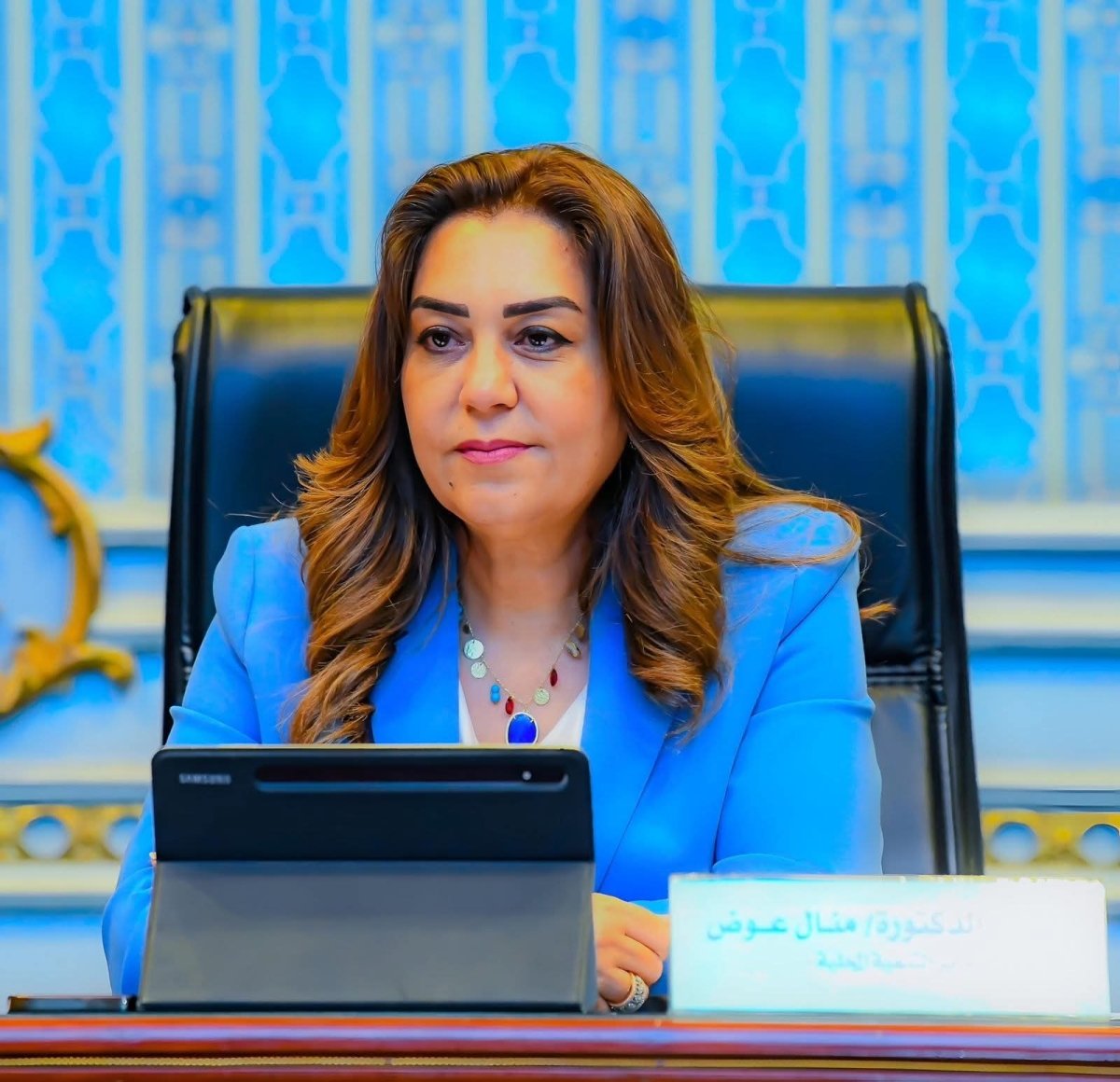 وزيرة التنمية المحلية توجه المحافظات باتخاذ الإجراءات والاستعدادات النهائية لانطلاق انتخابات مجلس الشيوخ 2025 يومي 4 و5 أغسطس الجاري