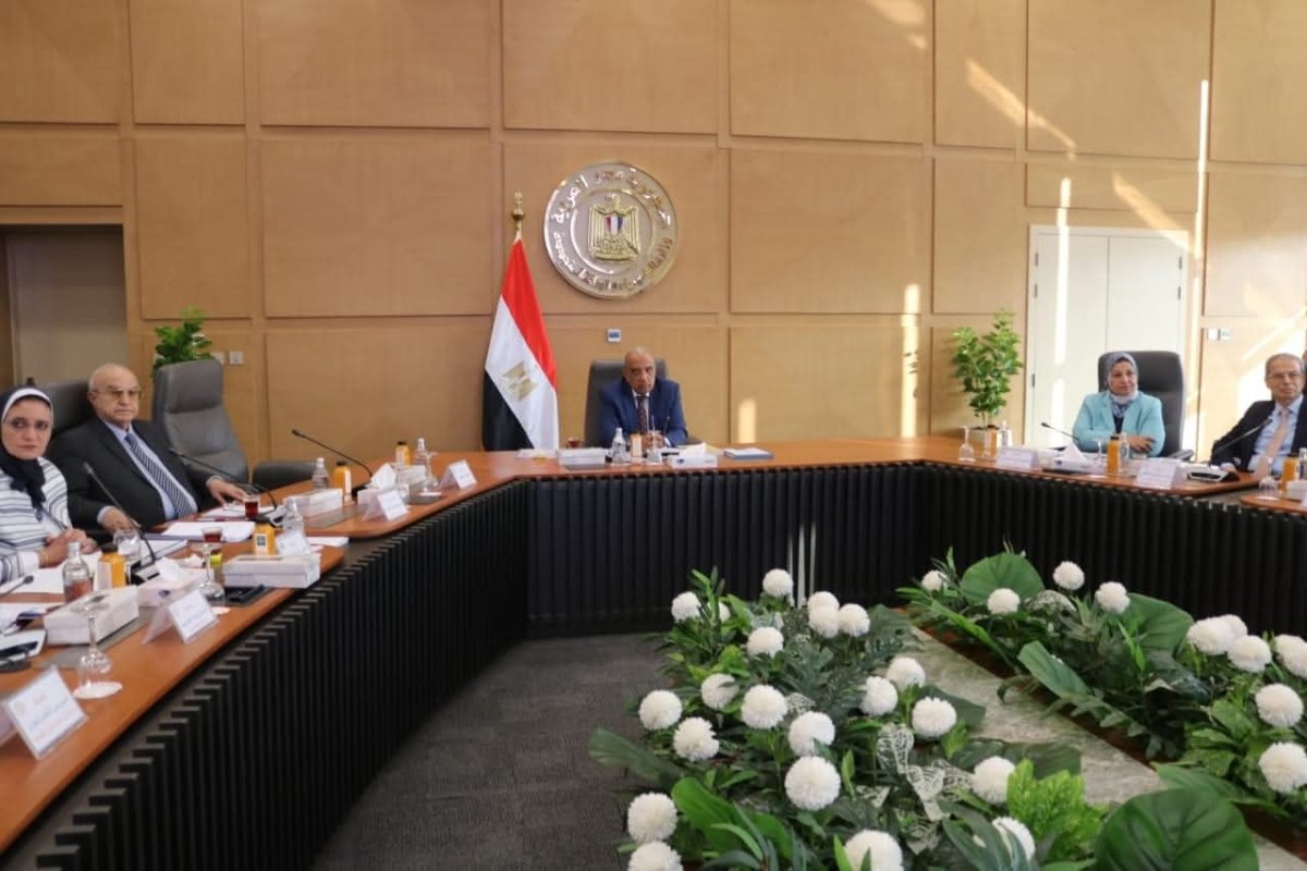 الكهرباء: 45 مليار جنيه حجم الاستثمارات منها 53% لاستكمال المشروعات القائمة و47% للمشروعات الجديدة 