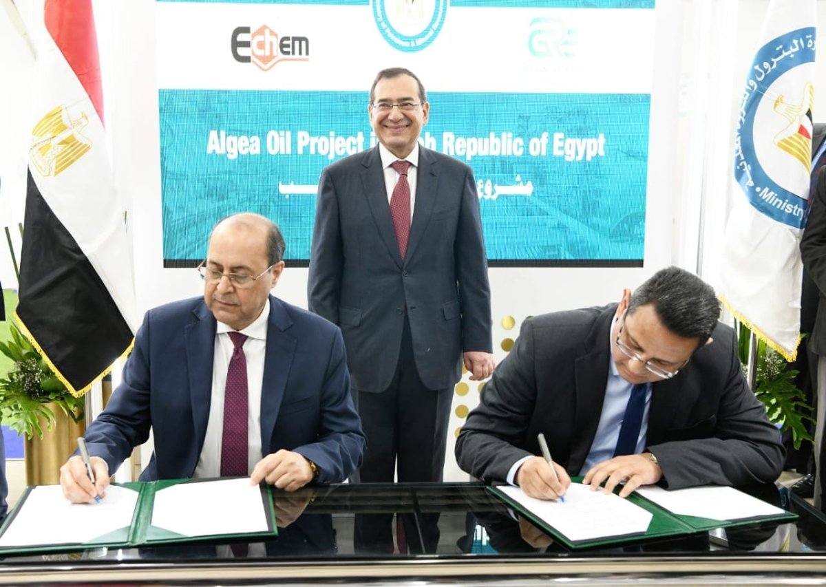 بحضور وزير البترول.. اتفاقية مصرية إماراتية لإنتاج زيت الطحالب