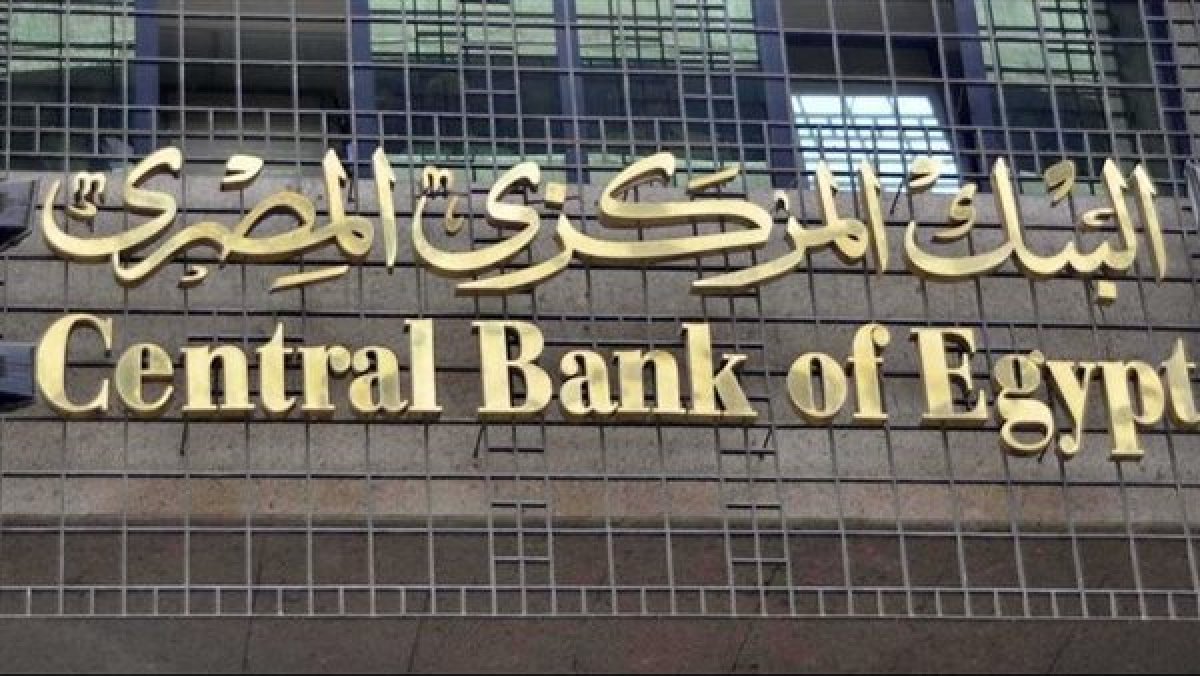 لأكثر من 15 مليار جنيه.. المركزي المصري  يرفع مساهماته في رؤوس أموال مؤسسات دولية