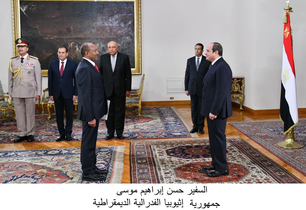 عاجل: الرئيس السيسي يتسلم أوراق اعتماد 13 سفيرًا جديدًا