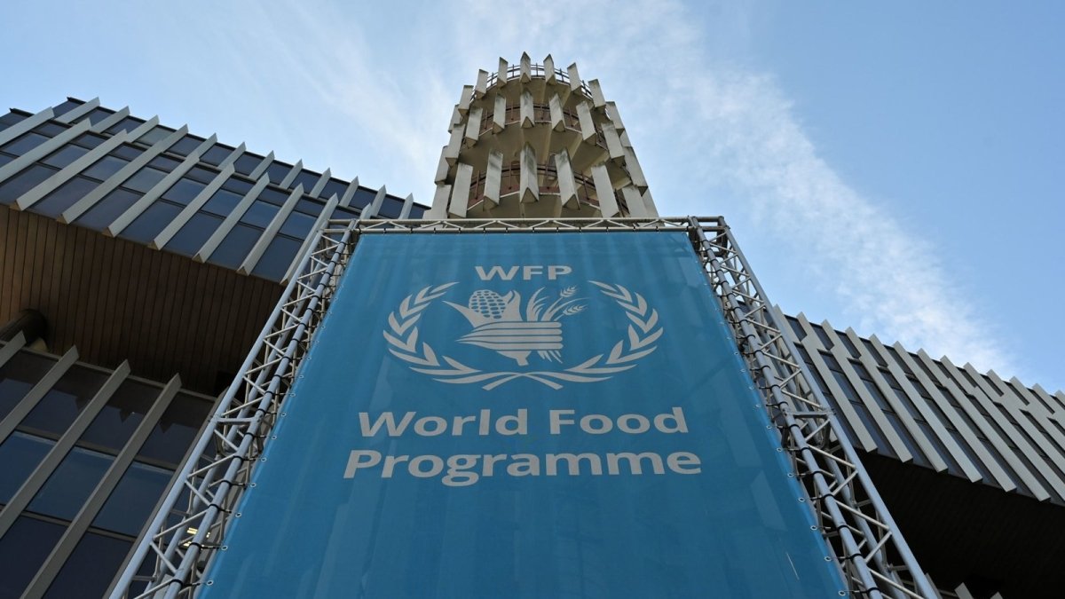 الأربعاء القادم.. انطلاق مؤتمر الأمن الغذائي العالمي في القاهرة