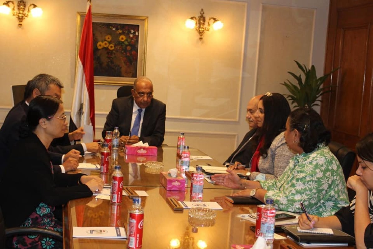 وزير قطاع الأعمال يبحث مع "هاندا" الصينية تعزيز التعاون وزيادة استثماراتها في مصر