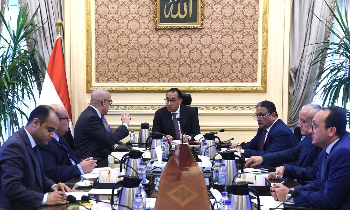 عاجل: الحكومة تستعد لطرح عدد من قطع الأراضي والوحدات السكنية للمصريين في الخارج 