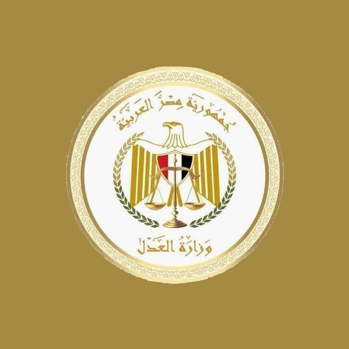 العدل: مصر أول دولة عربية تنشر الأحكام الصادرة في منازعات الملكية الفكرية على المنصة الإلكترونية للمنظمة العالمية للملكيةالفكرية( الويبو)