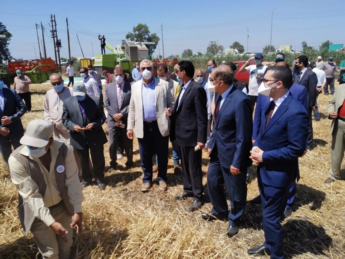 وزير الزراعة يشهد حصاد القمح بمزرعة القرضا بكفر الشيخ ويتفقد مزرعة معهد بحوث الانتاج الحيواني