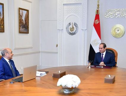 الرئيس السيسي يتابع عملية تطوير منظومة التقاضي على مستوى الجمهورية