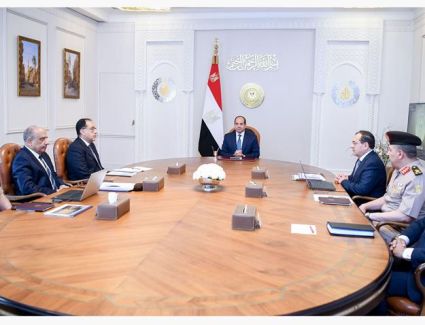 الرئيس السيسي يتابع الجهود الجارية لتنمية وتطوير استفادة مصر من الثروات المعدنية