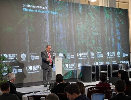 وزير المالية: حافز يصل إلى 35٪؜ من تكلفة إنتاج كل سيارة كهربائية محلية