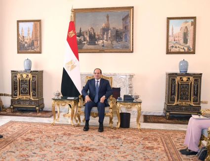 الرئيس السيسى يشيد بمستوى التعاون بين مصر و«منظمة التعاون الاقتصادي»