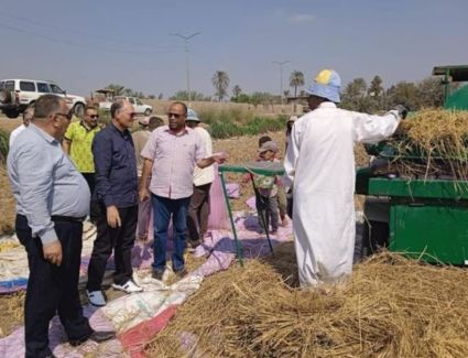 «الزراعة» تكشف عن أفضل أصناف القمح لزراعتها في كل محافظة