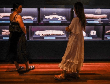 رسميًا.. انطلاق فعاليات معرض رمسيس وذهب الفراعنة  بمتحف استراليا بمدينة سيدني