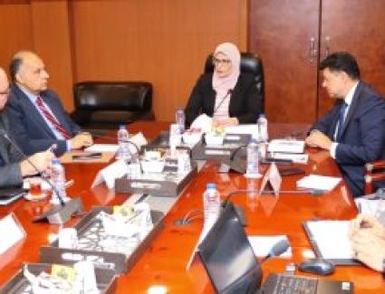 «التنمية الصناعية» تبحث مع «تصديري مواد البناء» زيادة صادرات الرخام والجرانيت