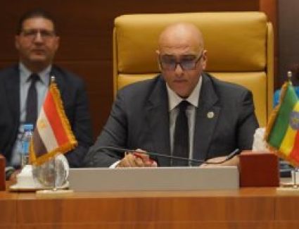 جهاز تنمية المشروعات يعزز سبل التعاون مع الدول العربية والأفريقية لدعم رواد الأعمال