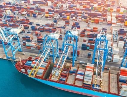 مصلحة الجمارك: تعزيز التحول إلى «الجمارك الخضراء» ضمن خطة 2023-2026