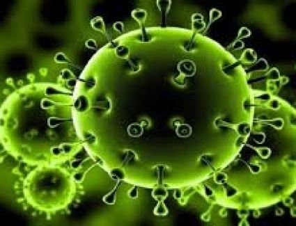  منظمة الصحه العالمية تكشف  موعد علاج فيروس كورونا 