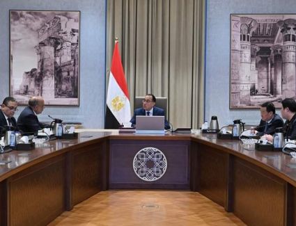 رئيس الوزراء يبحث مع شركتين صينيتين فرص الاستثمار والتمويل بمجالي تصنيع الخلايا الشمسية وأشباه الموصلات