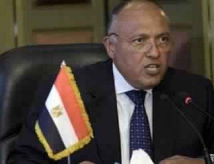 رفض مصري بشأن تدخل الخارجية الفرنسية في  واقعة القبض على مسئول حقوقي