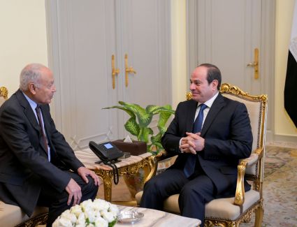 الرئيس السيسي يبحث مع «أبو الغيط» مستجدات الوضع في الأراضي الفلسطينية