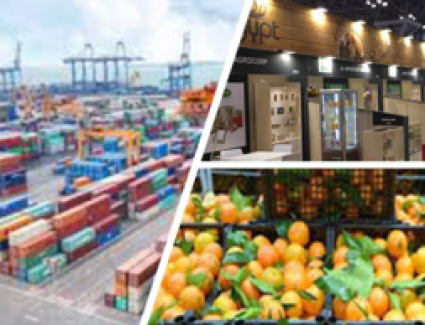 3 مليارات و840 مليون دولار... صادرات مصر من السلع الغذائية خلال عام 2023