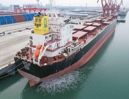 وزير النقل يعلن تسلم شركة الملاحة الوطنية سفينة «وادى العريش» من ترسانة هانتونج الصينية