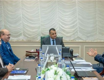 تنفيذ مشروع أول محطة بمصر لإنتاج الطاقة الكهربائية من المخلفات