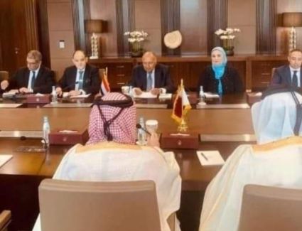 عاجل.. وزير التجارة: فرص تصديرية واعدة أمام الصادرات المصرية للسوق القطري