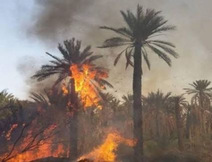 اندلاع حريق داخل منطقة زراعية بالهرم 