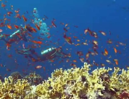 الغردقة ثالث أفضل الوجهات الطبيعية للزيارة في العالم