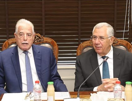 وزير الزراعة ومحافظ جنوب سيناء يتابعان المشروعات الزراعية والثروة السمكية والخدمات البيطرية