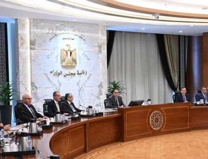 رئيس الوزراء يتابع جهود توطين صناعة الرقائق الإلكترونية وأشباه الموصلات