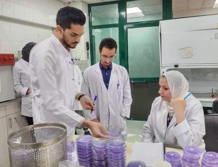 الزراعة: فحص مليون طن بطاطس بمعامل《مكافحة العفن البني》