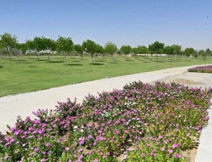 الإسكان: زراعة 46 ألف شجرة ونخلة بمشروع الحدائق المركزية "كابيتال بارك" بالعاصمة الإدارية الجديدة