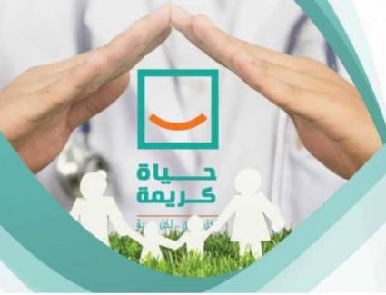 السعيد : 7600 مشروع بالمرحلة الأولى لمبادرة حياة كريمة بتكلفة 66 مليار جنيه
