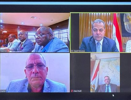 الزراعة: اللجان الفنية المصرية الغينية المشتركة تبحث تفعيل التعاون الزراعي بين البلدين الشقيقين