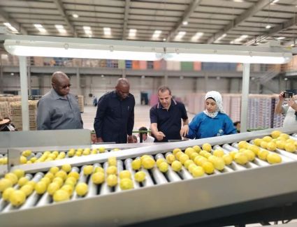 الزراعة: 10 سفراء أفارقة تجمع «السادك SADC» يتفقدون محطات التصدير بالطريق الصحراوي